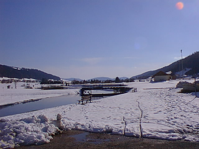 rous2010.jpg (64313 octets)